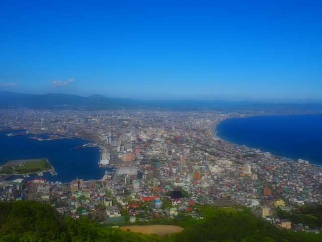 上から見た函館の景色