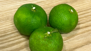 酒食！簡単レシピ集