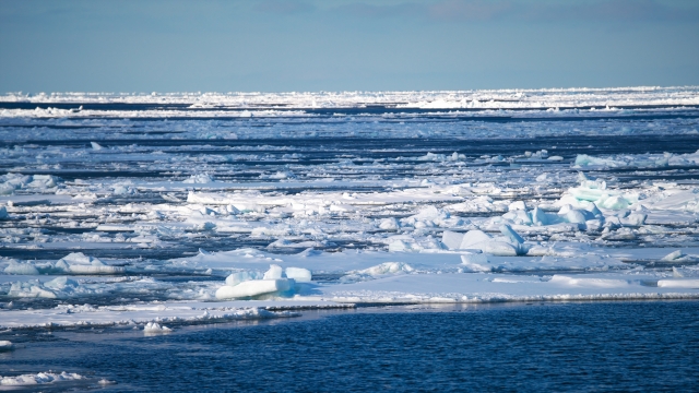 紋別の流氷