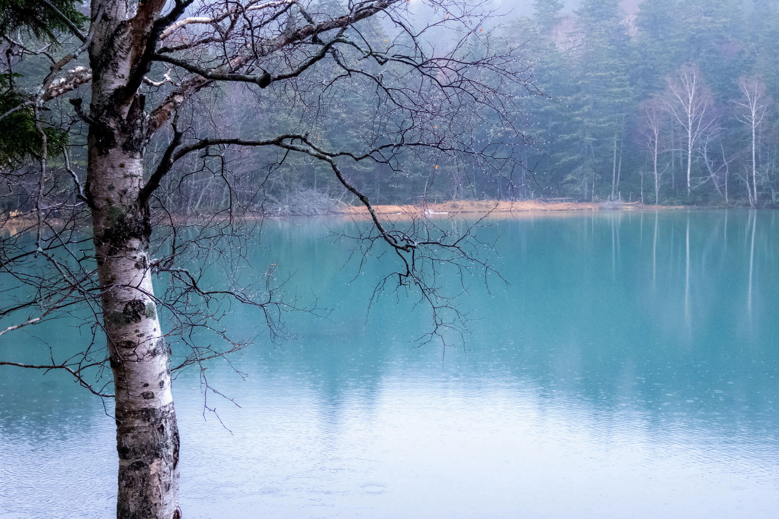 阿寒湖