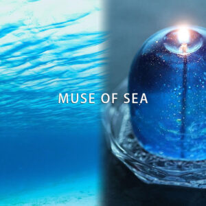Muse jelly series　THALASSA (海の女神)